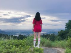 -铁山坪森林公园