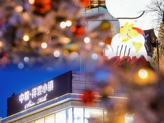 -中粮·祥云小镇