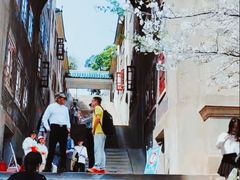 -武汉大学-樱园