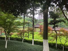 -龙头寺公园