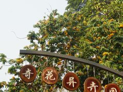-中国科学院西双版纳热带植物园