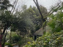 -融汇温泉