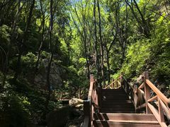 -大岭沟猕猴桃谷风景区