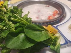 -羊来顺冰煮鲜羊 铁锅烀羊肉(中央大街店)