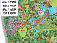 -上海共青森林公园