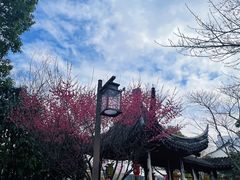 -吴越荣记苏州菜·松鼠桂鱼100%活鱼现做(斜塘老街店)