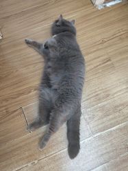 -EasyLady美甲沙龙