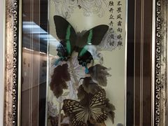 -上海大自然野生昆虫馆(东方明珠·爬宠昆虫探索中心)