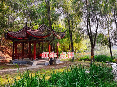 -云岗森林公园