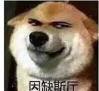 -同济大学附属口腔医院