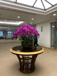 点击看大图 -北京明德医院
