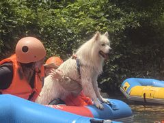 -安吉龙王山峡谷漂流
