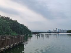 -厦门园林博览苑