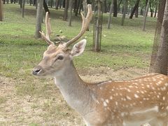-秦皇岛野生动物园