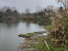 -桤木河湿地公园