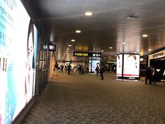 -上海浦东国际机场-T2航站楼