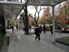 -兰溪青年公园