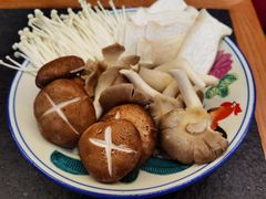 -财神鸡煲(华强北店)