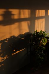 -伊布老裁缝西装礼服定制