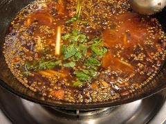 -鸿顺老铁锅美蛙鱼府(解放碑店)