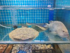 -前王院•巧克力海鲜市集餐厅(万平口店)