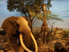 -陕西自然博物馆