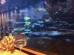 -迪拜帆船酒店海底餐厅