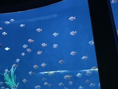 -沈阳海洋探索中心