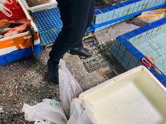 -霞涌市场海鲜摆卖区