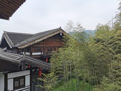 -大唐贡茶院
