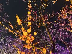 -无锡梅园公园