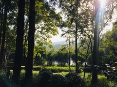 -杭州花家山庄