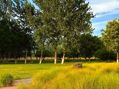 -汉长安城未央宫国家考古遗址公园