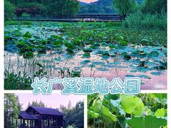-长广溪湿地公园