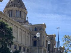 -巴塞罗那主教座堂