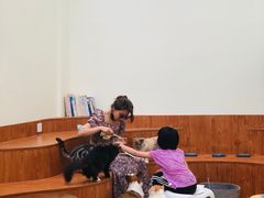 -有猫主题·治愈系猫咖(曾厝垵店)