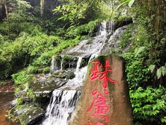-碧峰峡风景区