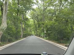 -紫金山山顶公园