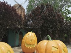 -石家庄市植物园