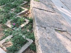 -赵州桥景区