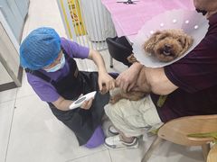-北京观赏动物医院·24小时大型综合·猫专科·异宠专科