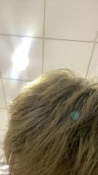 -卓梵美发·精品Salon