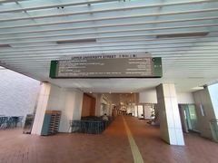 -香港大学