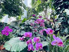 -郑州植物园