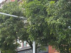 -品德宏·孔雀宴的发源地(金塔园店)