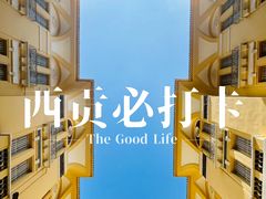 -胡志明市美术馆