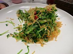 巧拌豆苗-四季民福烤鸭店(王府井灯市口店)