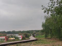 -西青郊野公园