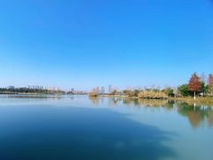 -三垟湿地