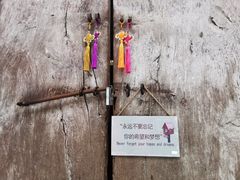 -小洲村